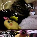 g_5koma_001